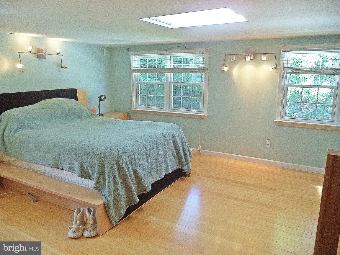 12714 Holdridge Road Silver Spring, MD 20906 - Photo 17 of 30 Skylites, Specialty Lighting, SPACIOUS MASTER !,