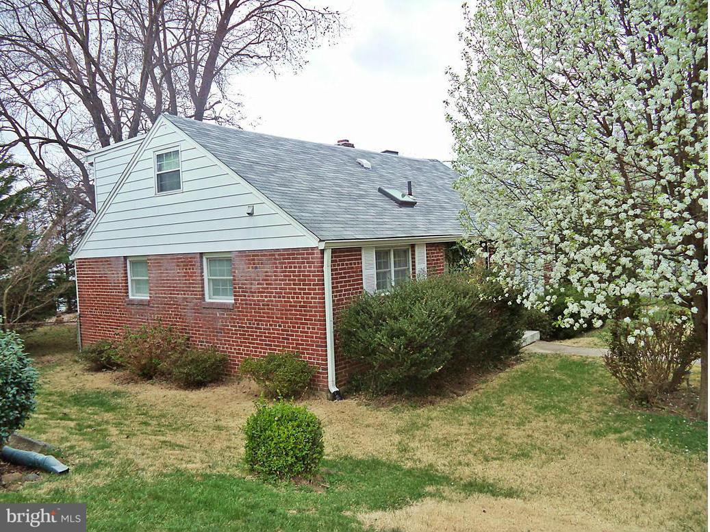 12714 Holdridge Road Silver Spring, MD 20906 - Photo 28 of 30 Beautiful SpringTime BLOSSOMS !