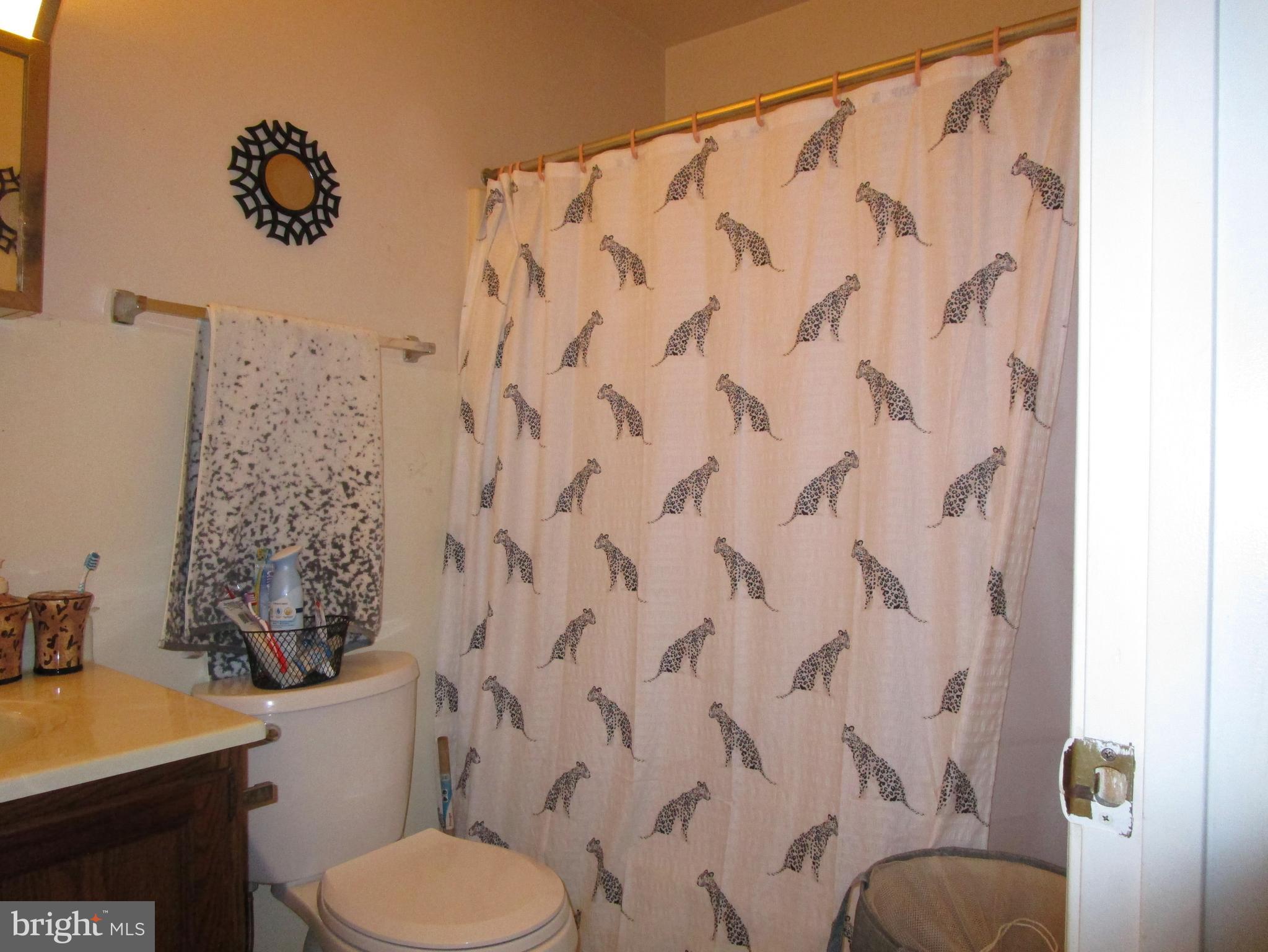 181 Evergreen Road Magnolia, DE 19962 - Photo 29 of 40 Hallway Bathroom