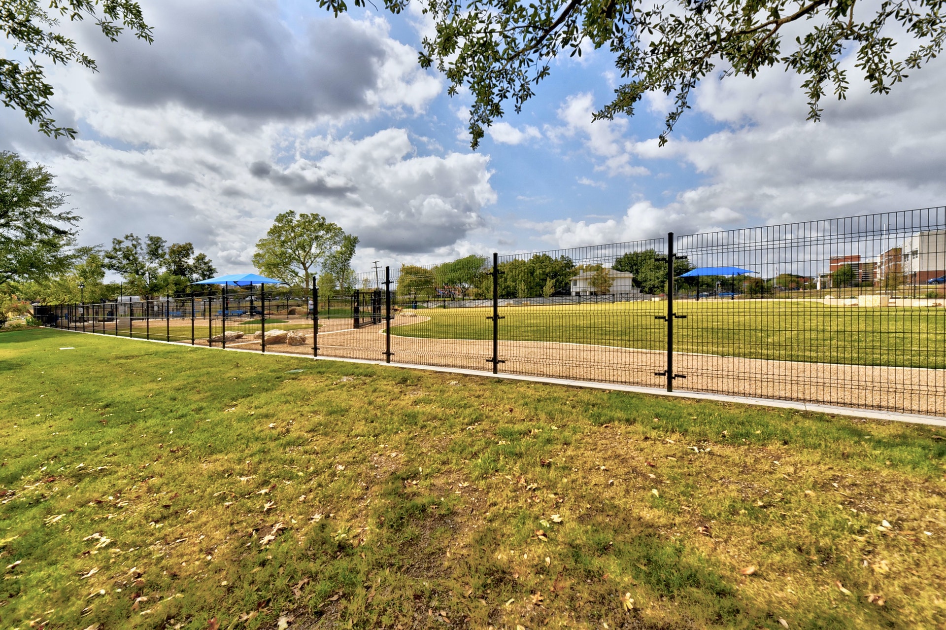 3629 Ruby Red Drive Austin, TX 78728 - Photo 33 of 35 Dog Park with spacious dog runs
