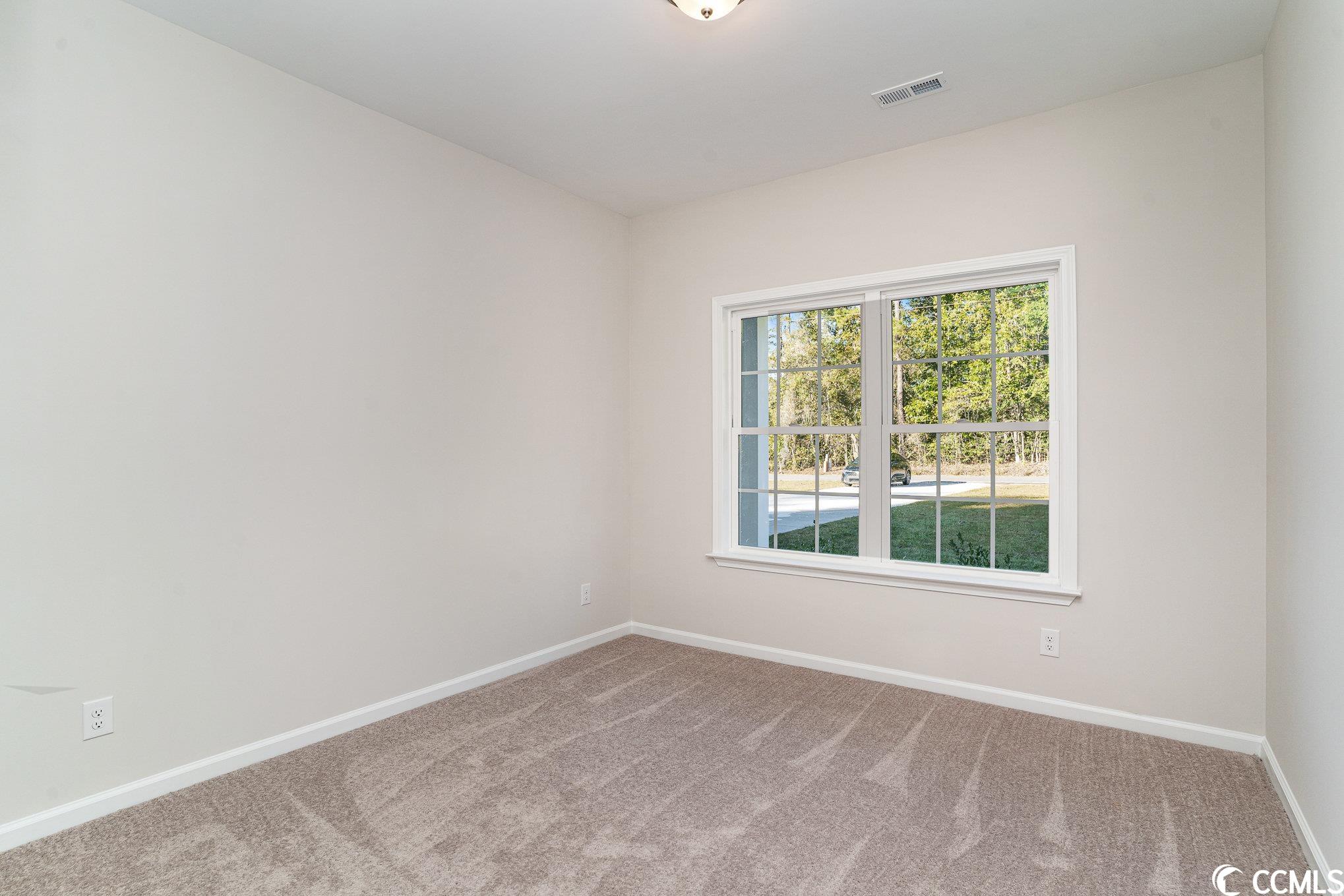 443 Cane Branch Road Loris, SC 29569 - Photo 22 of 24 Gallery Image 22