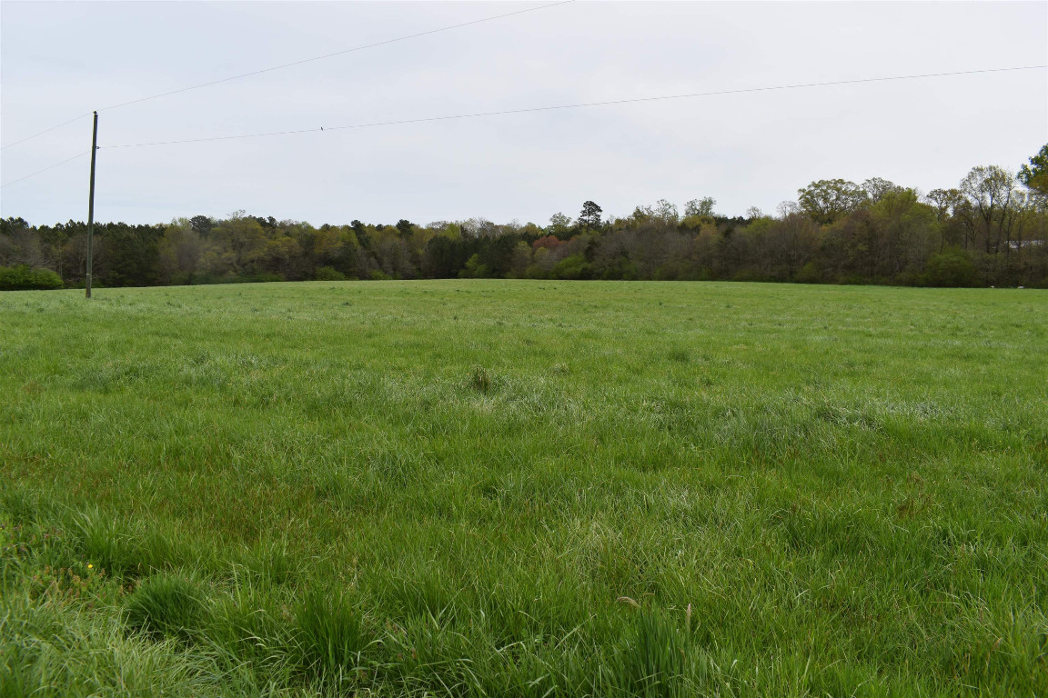 a view of a green field with wooden fence
