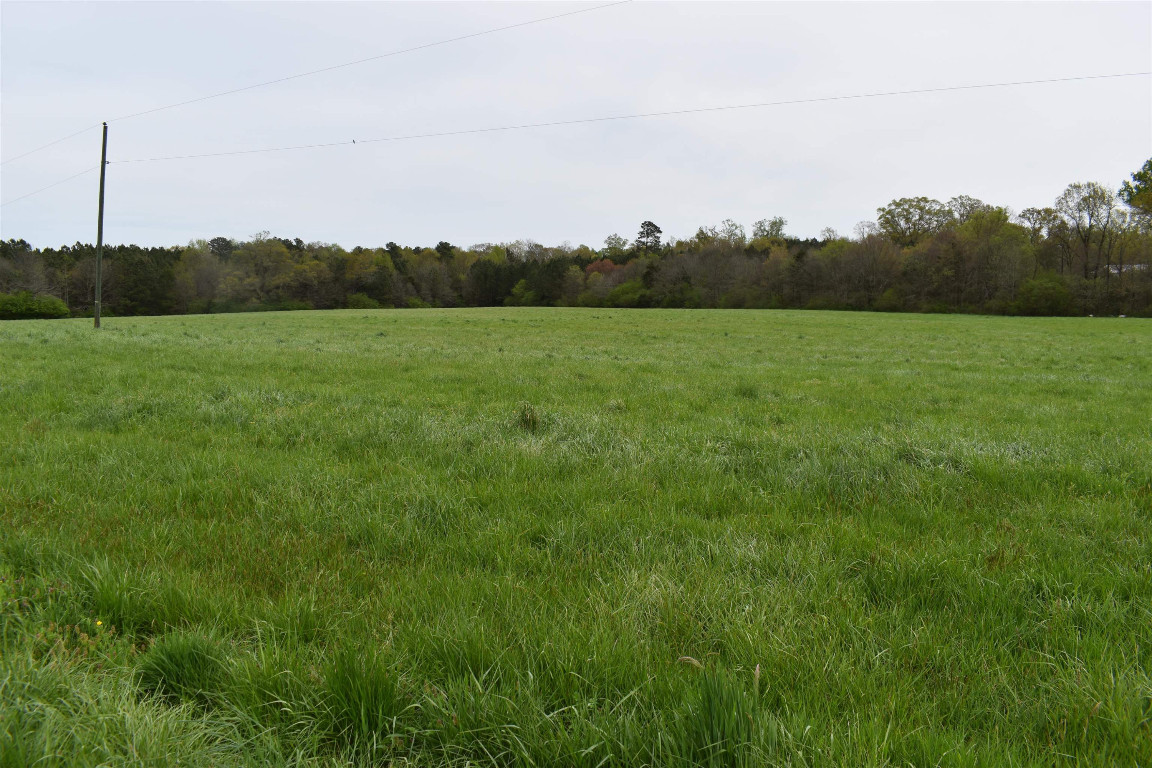 1076 Tom Stevens Road Siler City, NC 27344 - Photo 1 of 24 Gallery Image 1