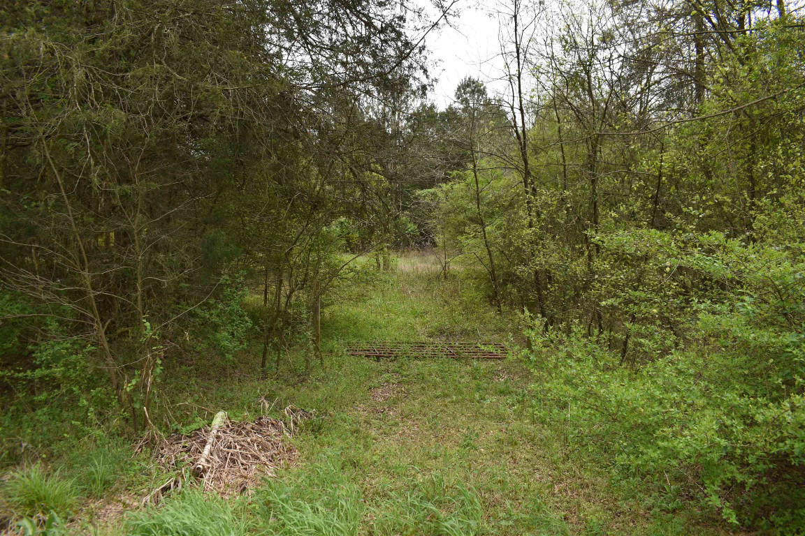 1076 Tom Stevens Road Siler City, NC 27344 - Photo 15 of 24 Gallery Image 15