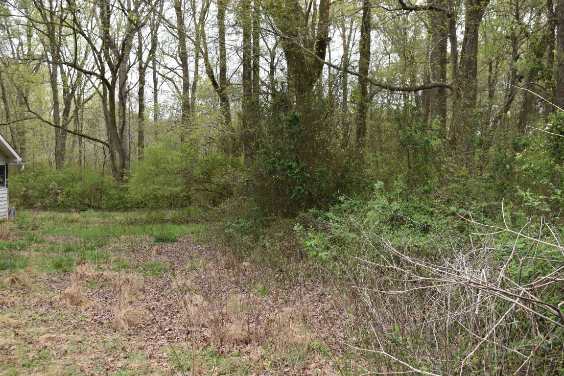 1076 Tom Stevens Road Siler City, NC 27344 - Photo 2 of 24 Gallery Image 2