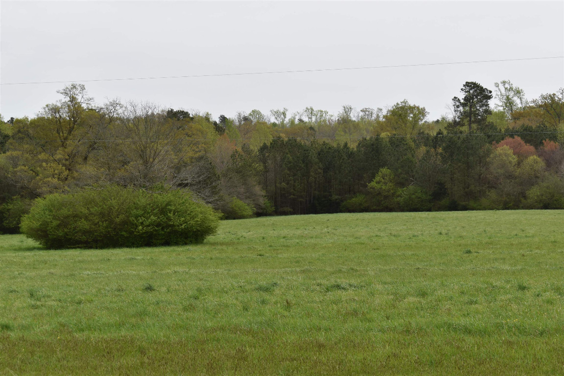 1076 Tom Stevens Road Siler City, NC 27344 - Photo 21 of 24 Gallery Image 21