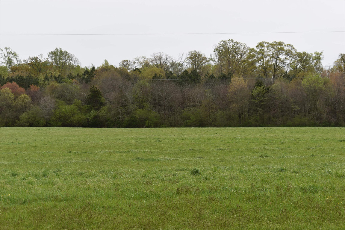 1076 Tom Stevens Road Siler City, NC 27344 - Photo 22 of 24 Gallery Image 22
