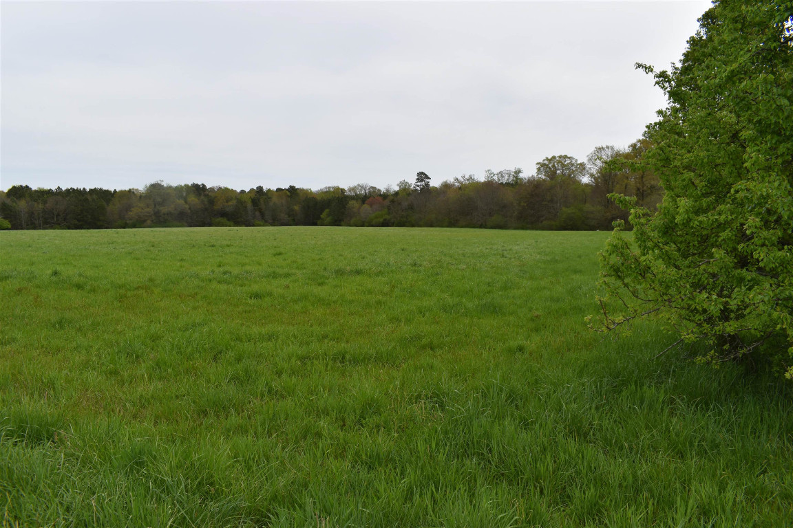 1076 Tom Stevens Road Siler City, NC 27344 - Photo 8 of 24 Gallery Image 8