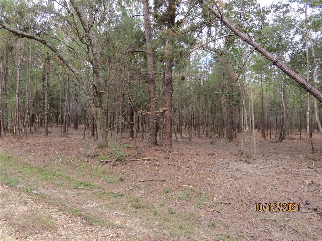 Lot D2 John T Prats Road Covington, LA 70435 - Photo 8 of 8 Gallery Image 8