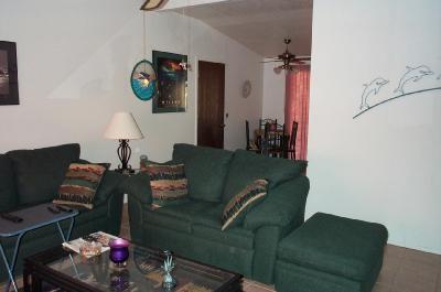 3555 South Randi Place Tucson, AZ 85730 - Photo 5 of 10
