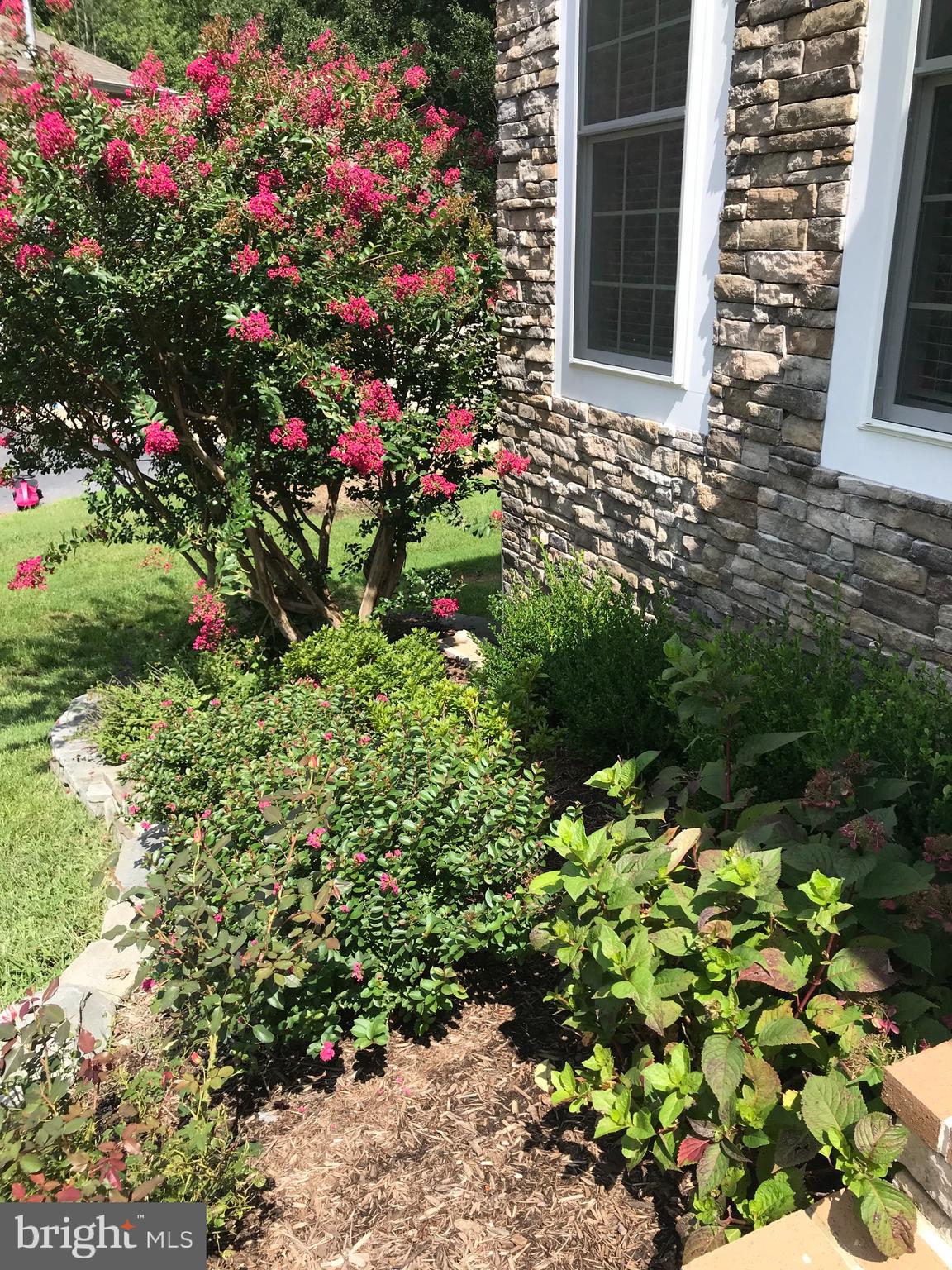 3231 Magnolia Ridge Road Annapolis, MD 21403 - Photo 3 of 41 Mature plantings and landscape