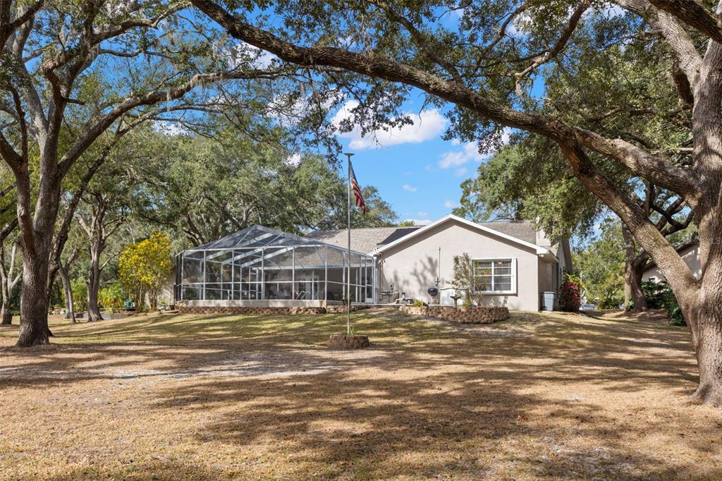 3734 Thornbush Lane New Port Richey, FL 34655 - Photo 2 of 47 a front view of a house with a yard