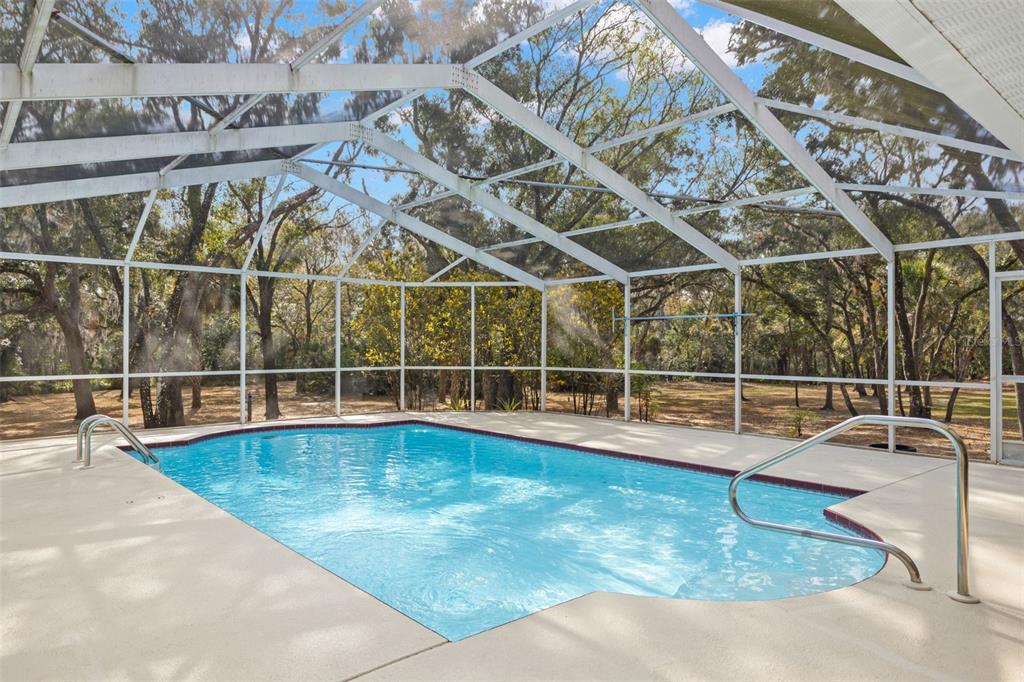 3734 Thornbush Lane New Port Richey, FL 34655 - Photo 3 of 47 a view of a swimming pool with a yard in back
