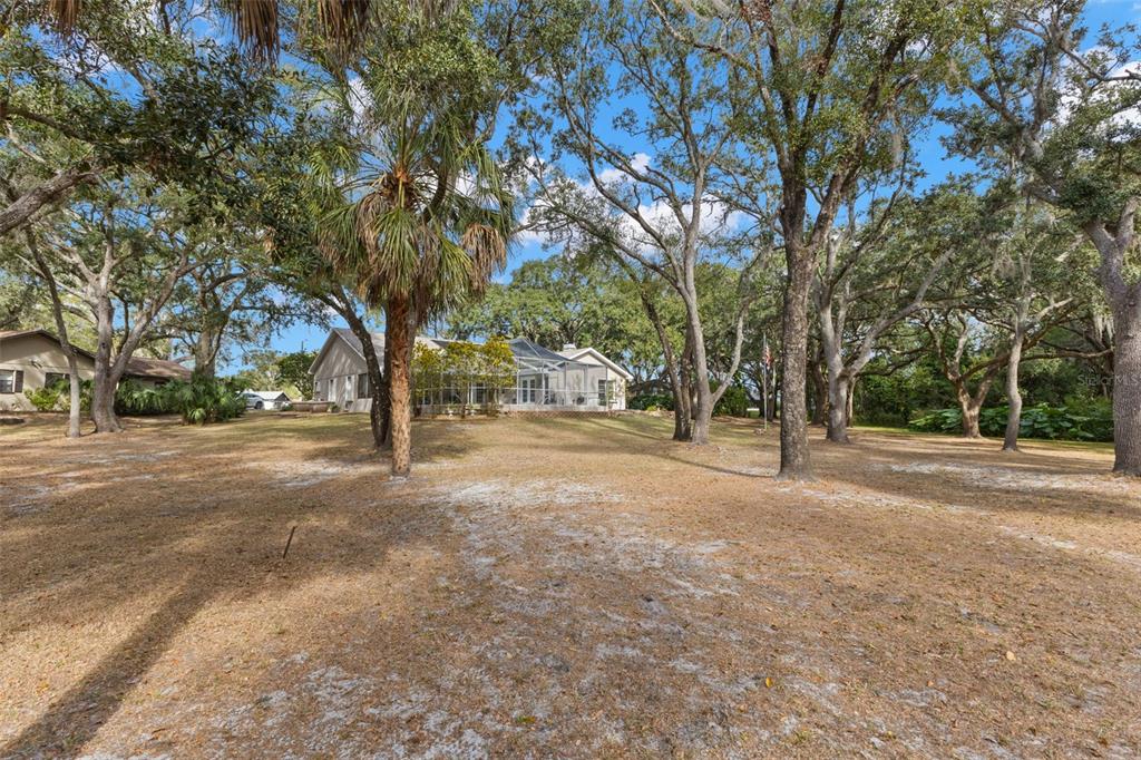 3734 Thornbush Lane New Port Richey, FL 34655 - Photo 34 of 47 a view of outdoor space with trees