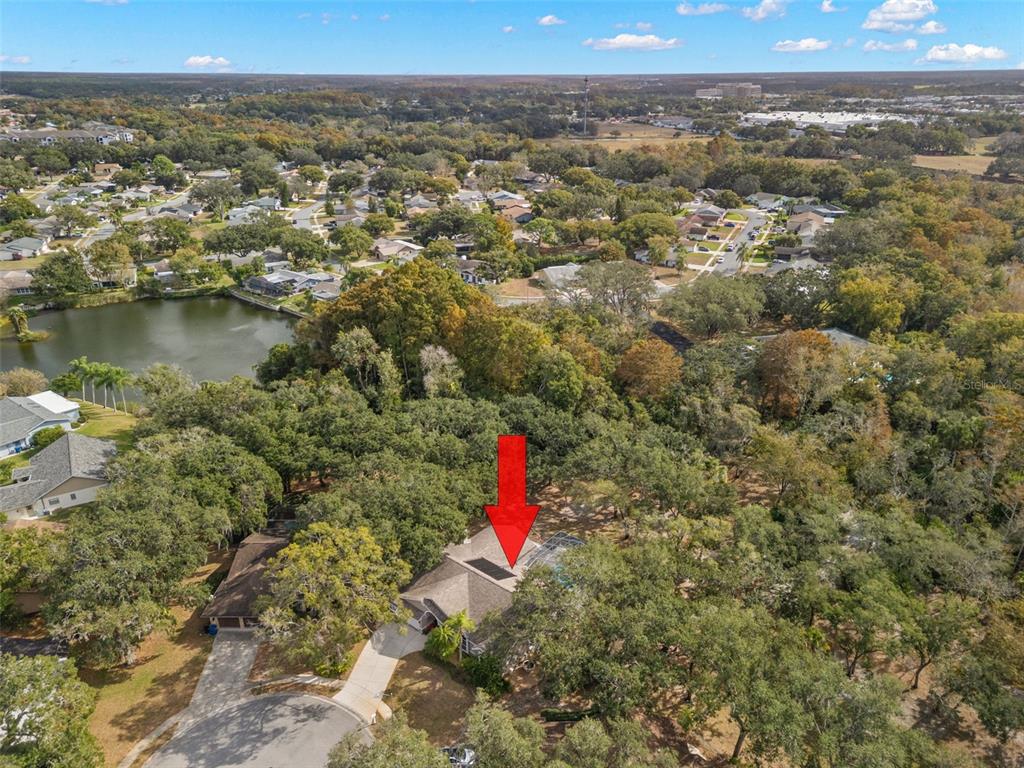 3734 Thornbush Lane New Port Richey, FL 34655 - Photo 4 of 47 a view of a city