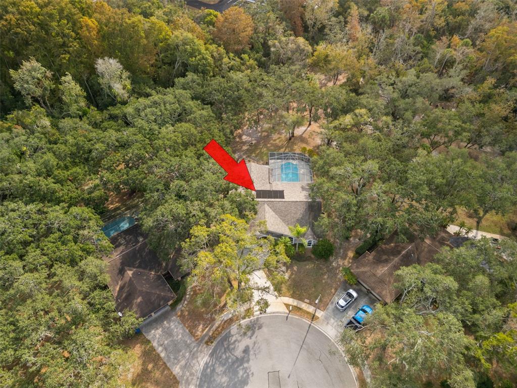 3734 Thornbush Lane New Port Richey, FL 34655 - Photo 42 of 47