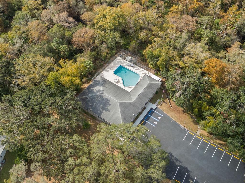 3734 Thornbush Lane New Port Richey, FL 34655 - Photo 45 of 47 a view of yard