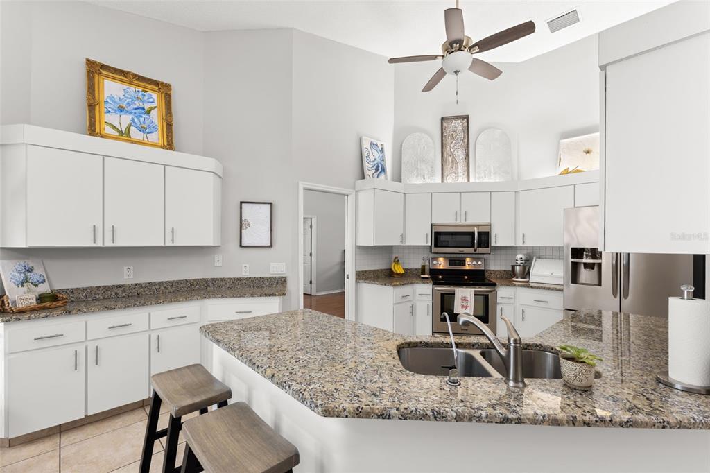 3734 Thornbush Lane New Port Richey, FL 34655 - Photo 8 of 47 a kitchen with cabinets a sink and appliances