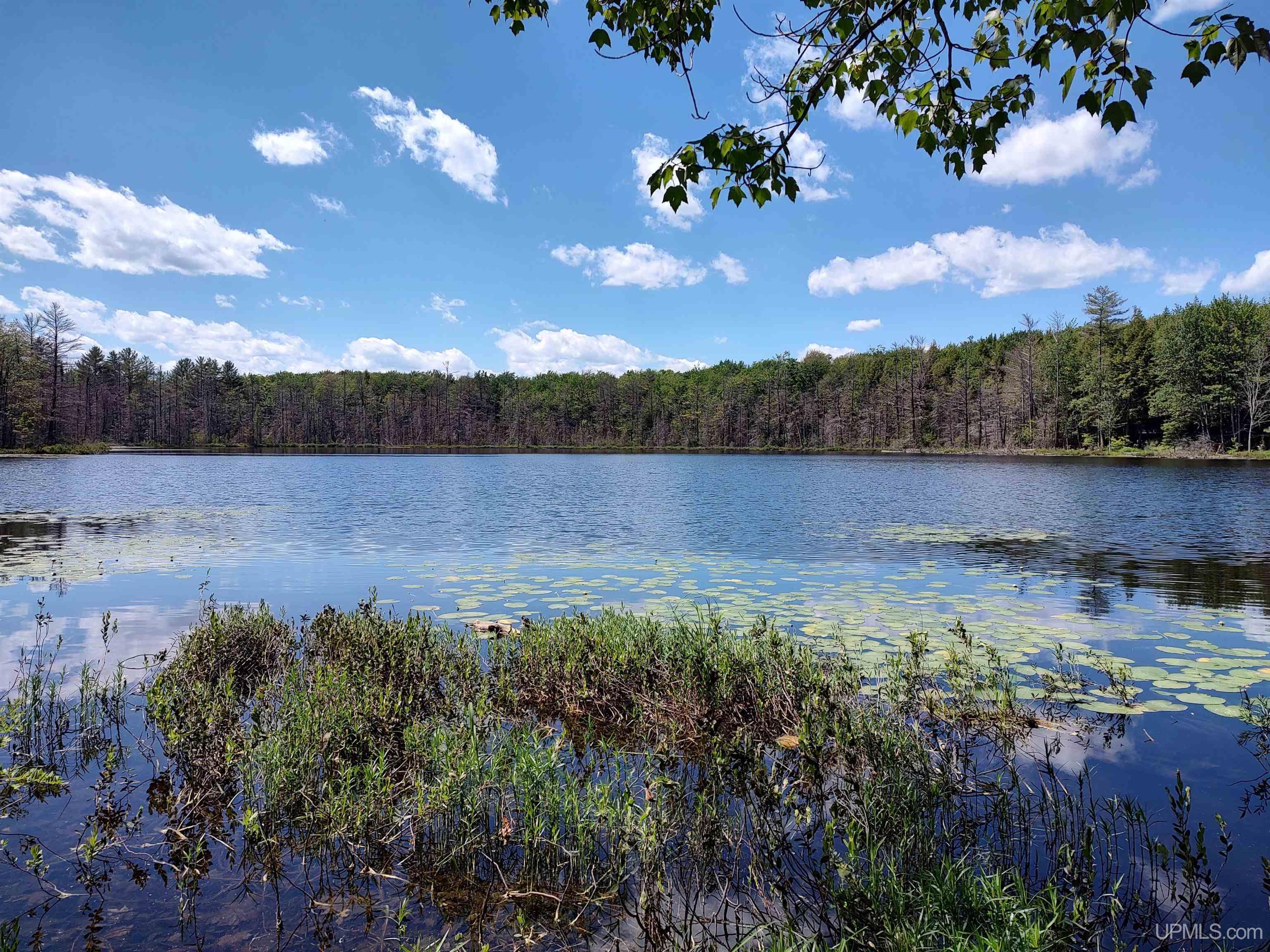 16 Mile Lake Road Munising, MI 49862 - Photo 7 of 12 Gallery Image 7