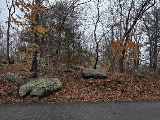0 Squam Road Rockport, MA 01966 - Photo 2 of 9 Gallery Image 2