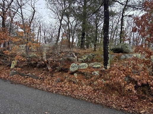 0 Squam Road Rockport, MA 01966 - Photo 4 of 9 Gallery Image 4