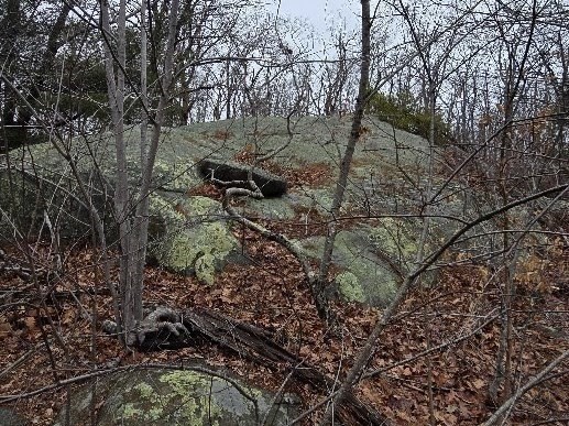 0 Squam Road Rockport, MA 01966 - Photo 7 of 9 Gallery Image 7