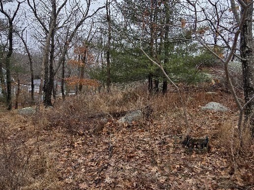 0 Squam Road Rockport, MA 01966 - Photo 8 of 9 Gallery Image 8