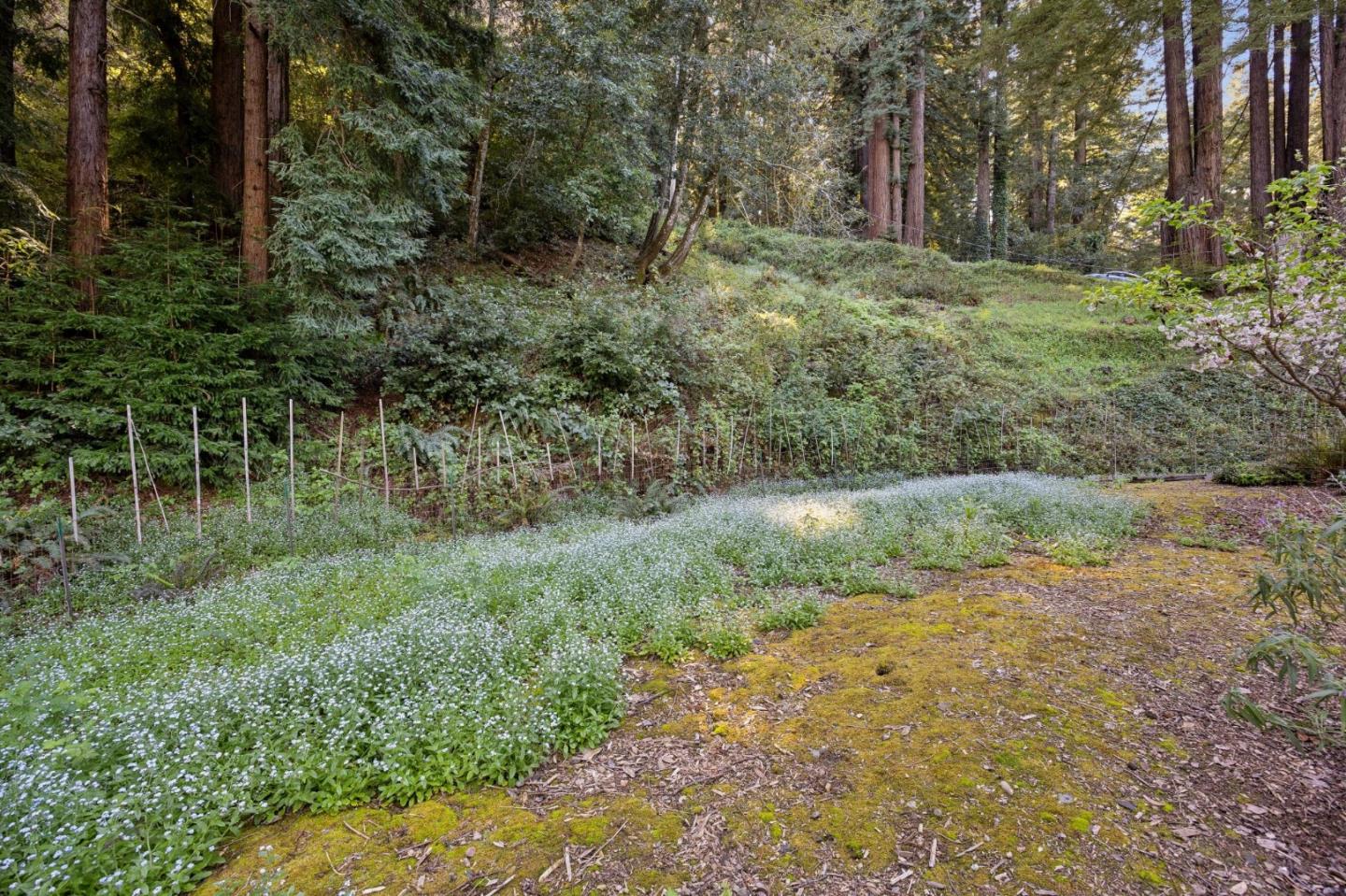 188 Martinez Road Woodside, CA 94062 - Photo 24 of 30