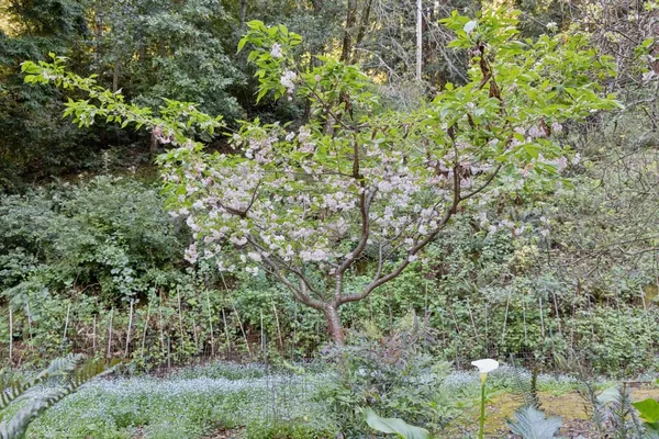 $2,295,000 | 188 Martinez Road, Woodside, CA 94062