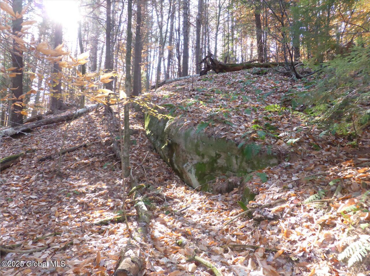 487 Antone Mountain Road Hadley, NY 12822 - Photo 2 of 10 Screenshot B (rock ledge near E bdry, lo