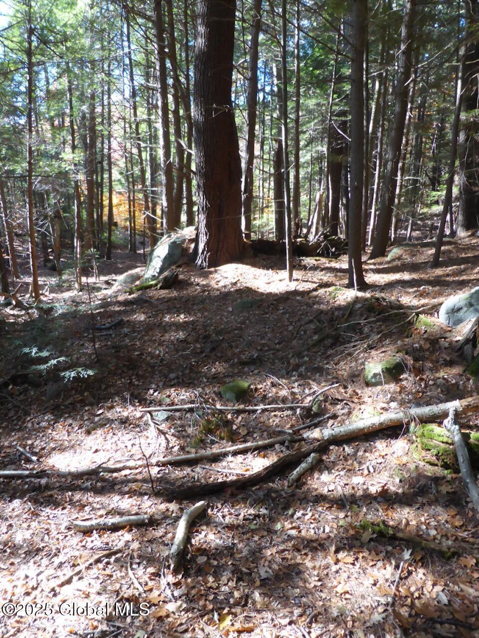 487 Antone Mountain Road Hadley, NY 12822 - Photo 3 of 10 Screenshot E (intersect woods road, E si