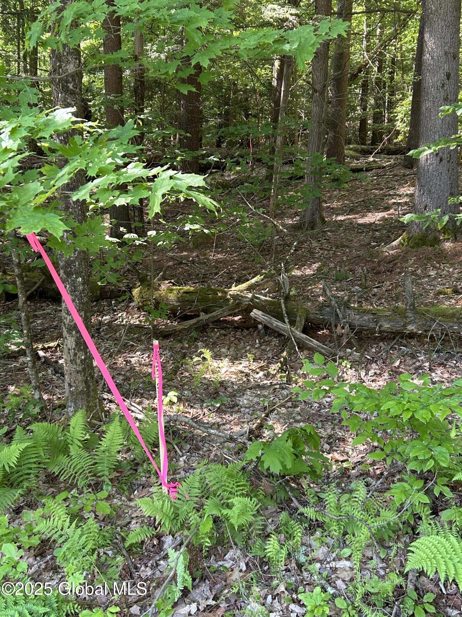 487 Antone Mountain Road Hadley, NY 12822 - Photo 5 of 10 NE corner 487 Antone Mtn Rd