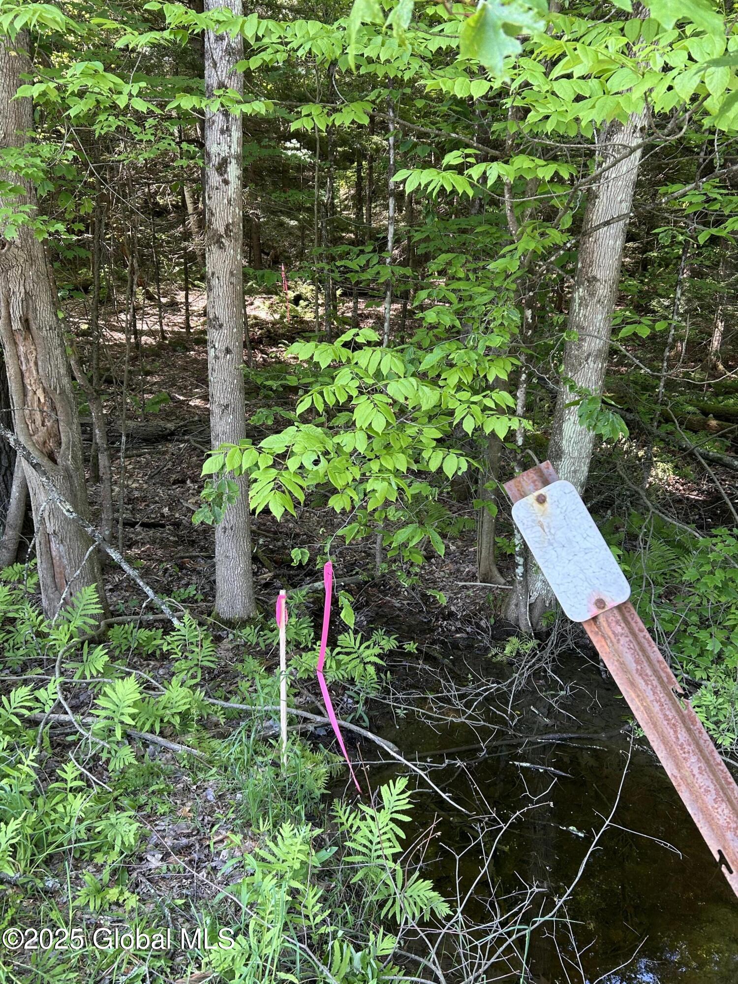 487 Antone Mountain Road Hadley, NY 12822 - Photo 6 of 10 NW corner 487 Antone Mtn Rd