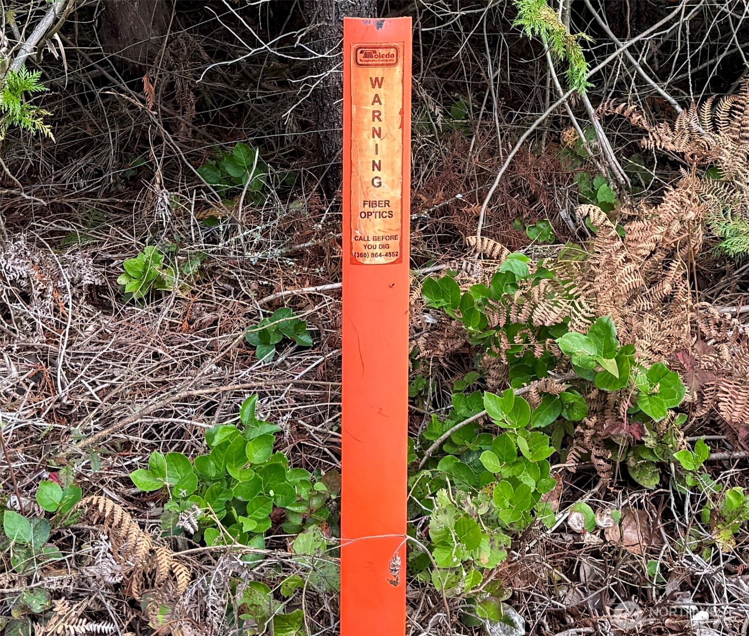 298 Boone Road Toledo, WA 98591 - Photo 14 of 40 a street sign that is on a field