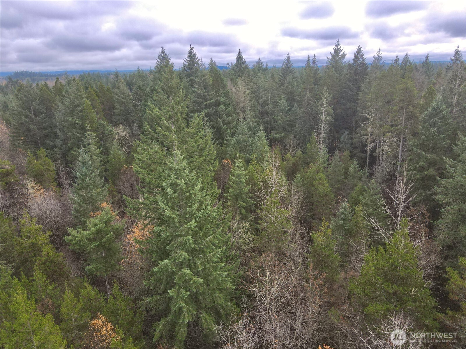 298 Boone Road Toledo, WA 98591 - Photo 27 of 40