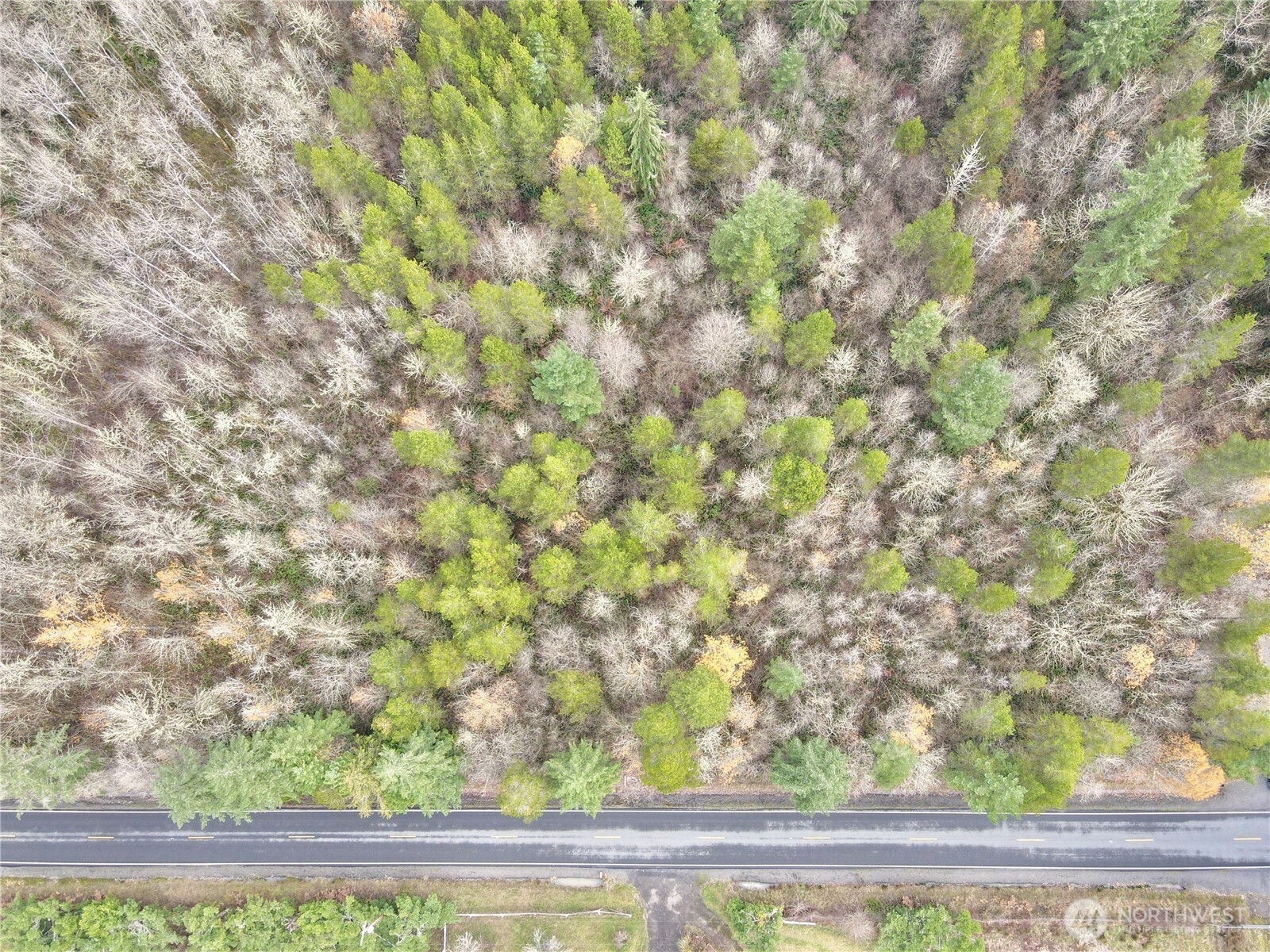 298 Boone Road Toledo, WA 98591 - Photo 28 of 40