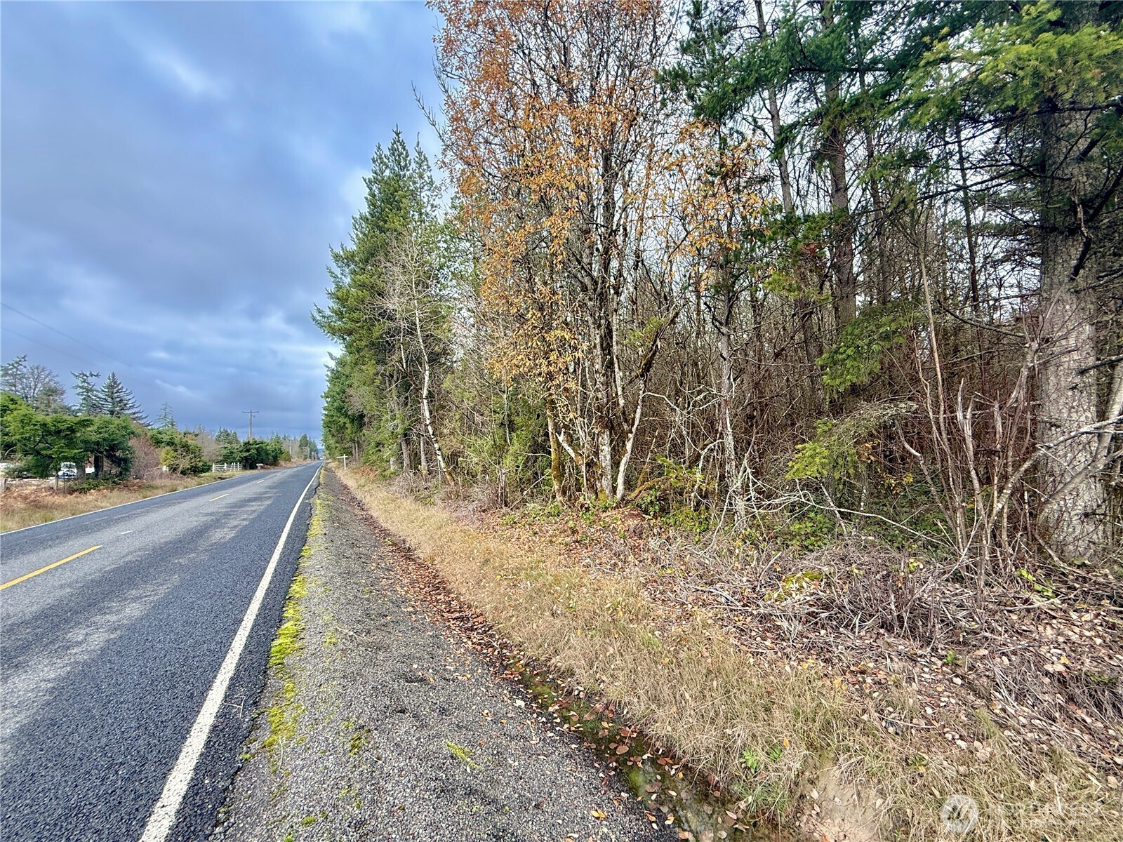 298 Boone Road Toledo, WA 98591 - Photo 9 of 40