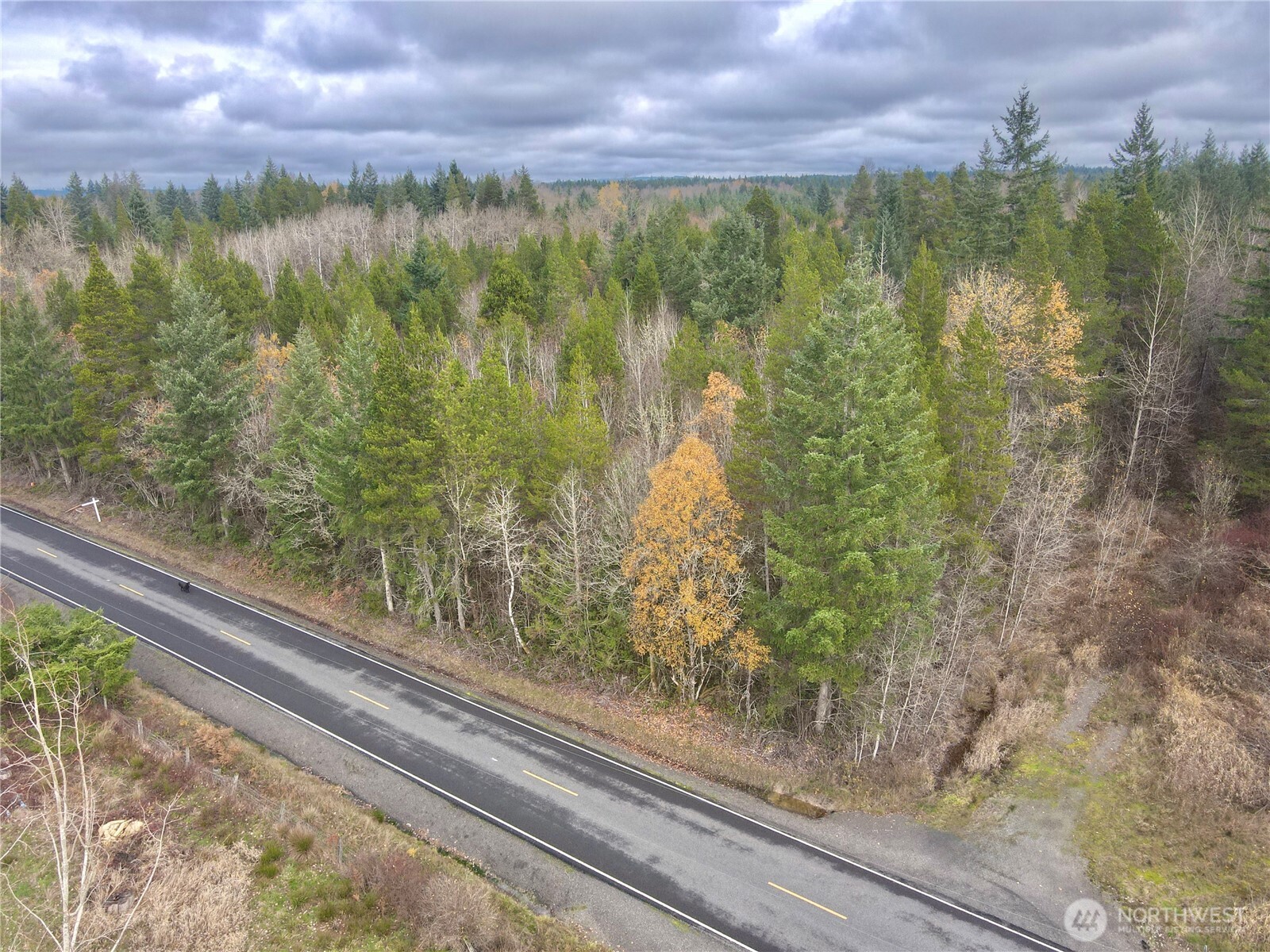 298 Boone Road Toledo, WA 98591 - Photo 9 of 40 a view of a lake view