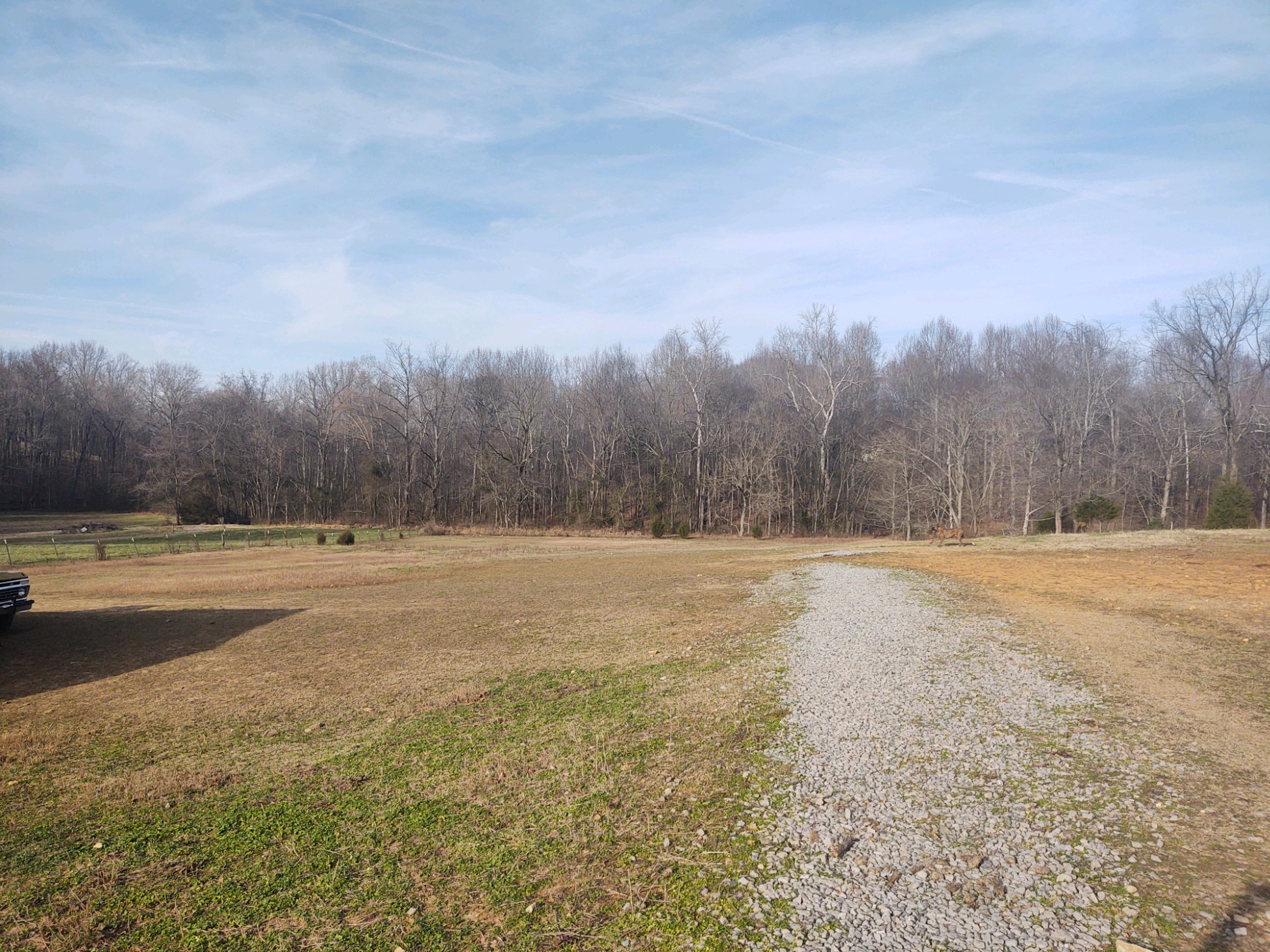 232 West Biggs Road Cottontown, TN 37048 - Photo 1 of 6 Gallery Image 1