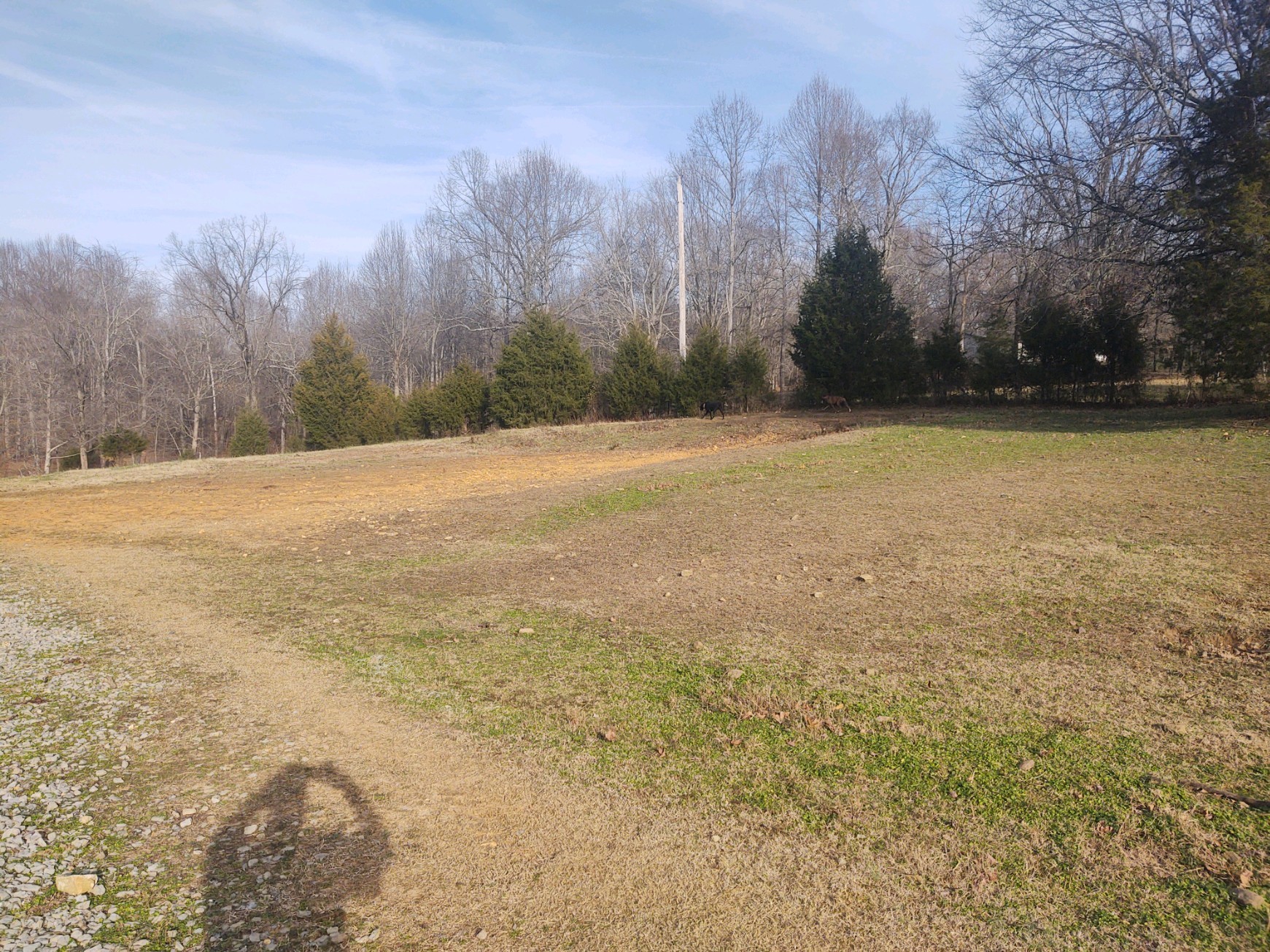 232 West Biggs Road Cottontown, TN 37048 - Photo 3 of 6 Gallery Image 3