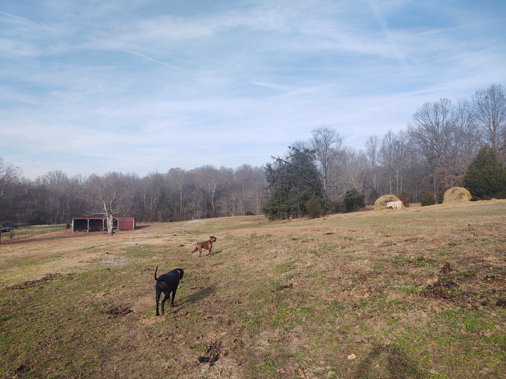 232 West Biggs Road Cottontown, TN 37048 - Photo 6 of 6 Gallery Image 6