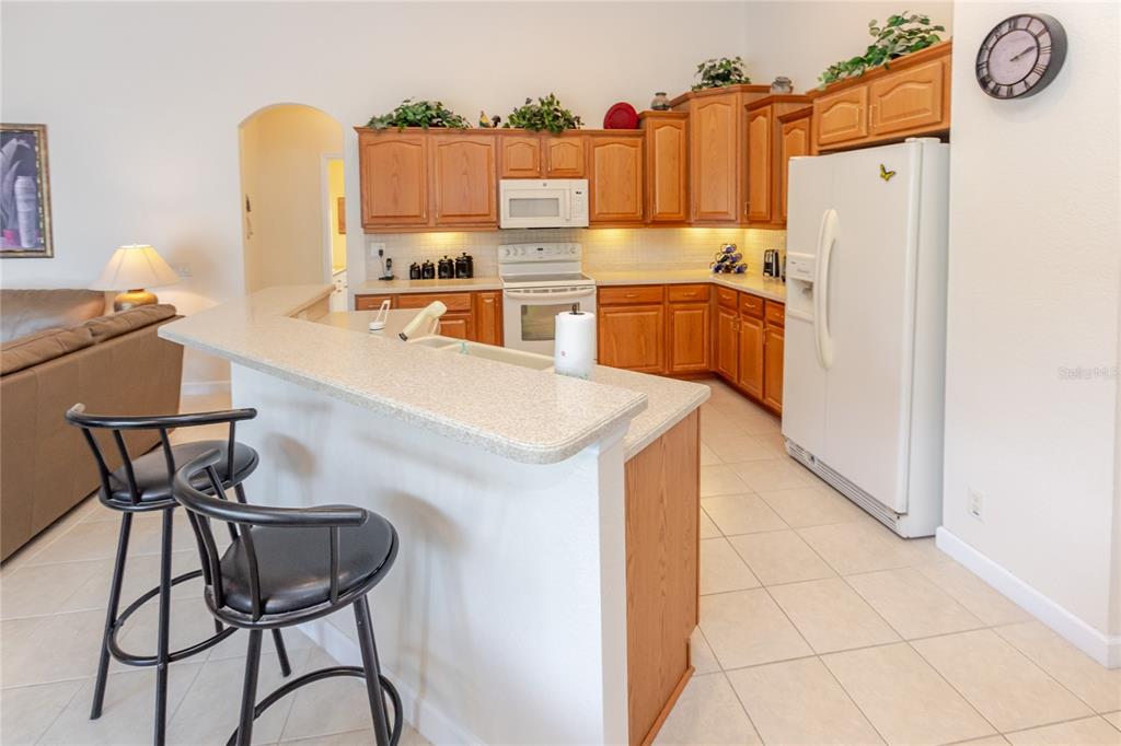 4072 Misty View Drive Spring Hill, FL 34609 - Photo 12 of 48