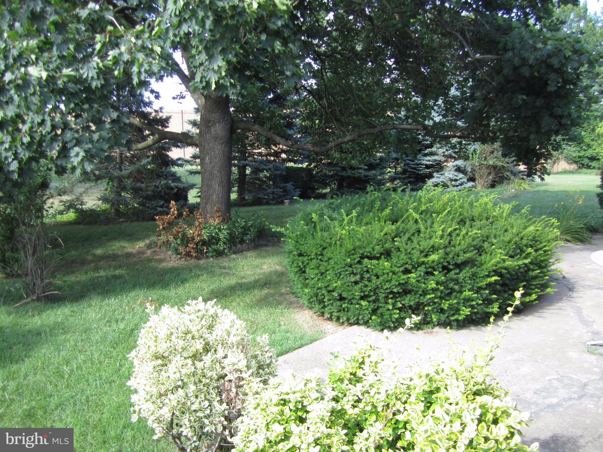 710 Greentree Road Linthicum Heights, MD 21090 - Photo 3 of 4 Exterior (Rear)