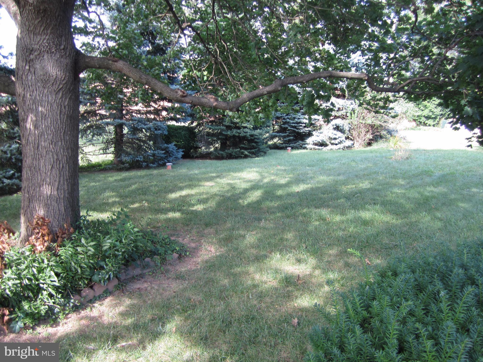 710 Greentree Road Linthicum Heights, MD 21090 - Photo 4 of 4 Exterior (Rear)