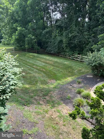 a view of a field with a tree
