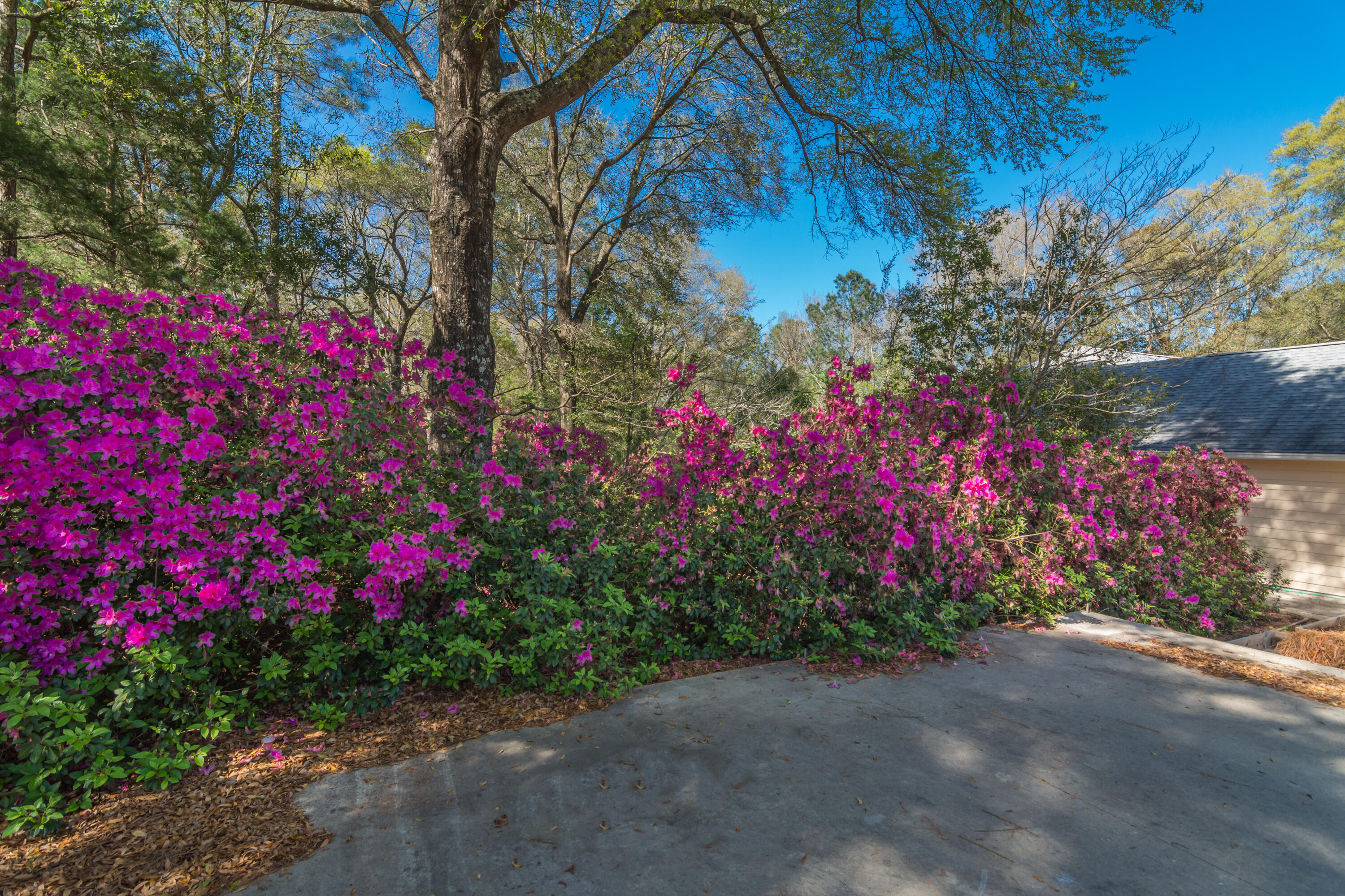 3361 Airport Road Crestview, FL 32539 - Photo 5 of 49 Gallery Image 5