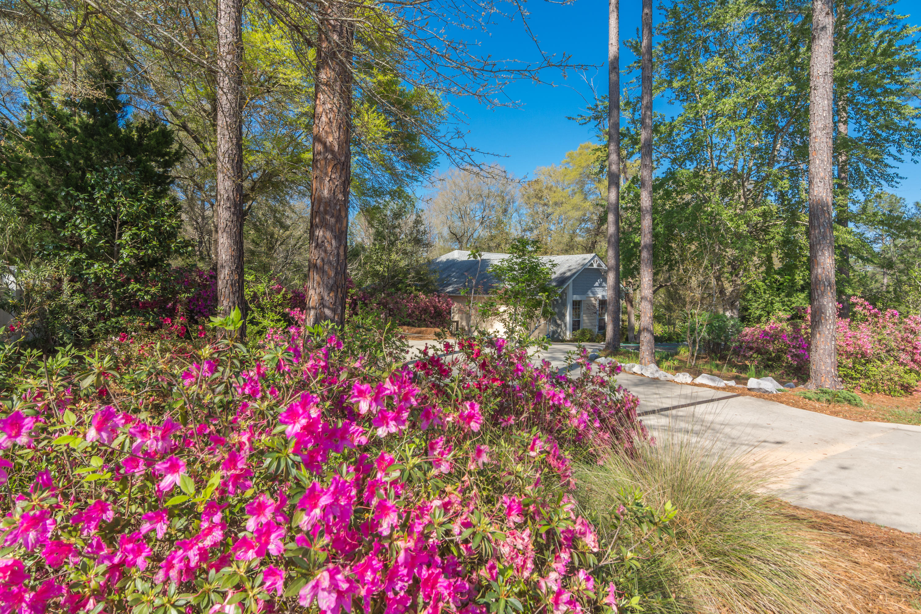 3361 Airport Road Crestview, FL 32539 - Photo 8 of 49 Gallery Image 8