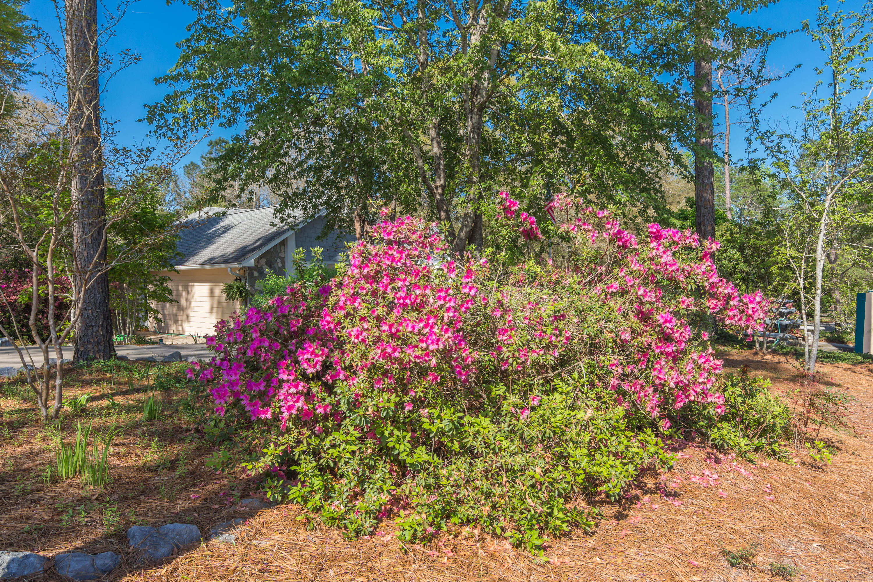 3361 Airport Road Crestview, FL 32539 - Photo 9 of 49 Gallery Image 9