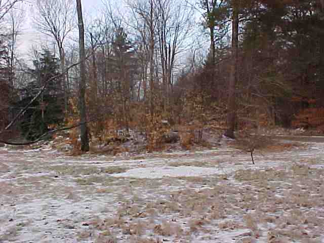 29 Hadley Hunting Club Road Day, NY 12835 - Photo 2 of 2 Photo 2