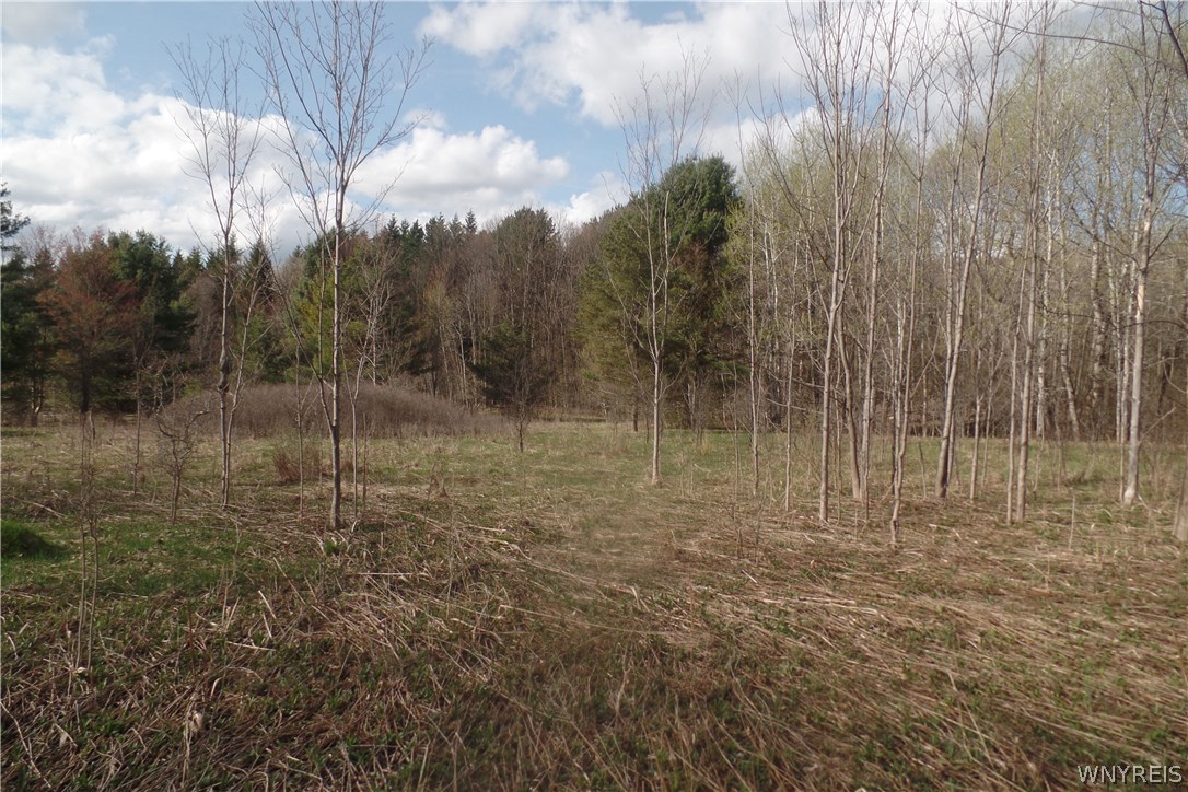 0 Hadden Road Cuba, NY 14727 - Photo 1 of 1